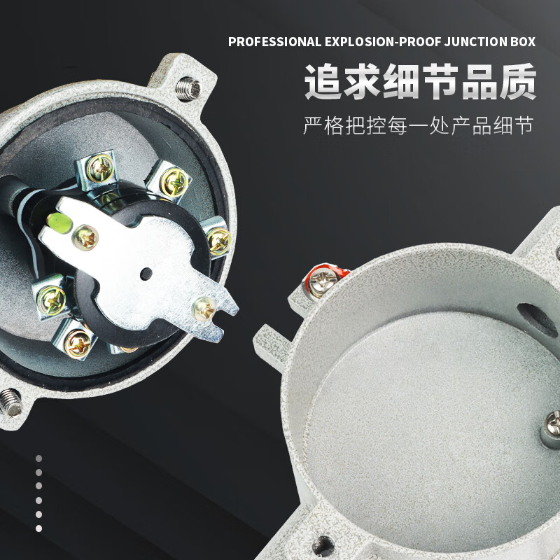 Explosion-proof lighting switch SW-10 waterproof 220V 380V explosion-proof switch 10A16A control button wall socket explosion-proof lighting switch single control 220V16A (thick version