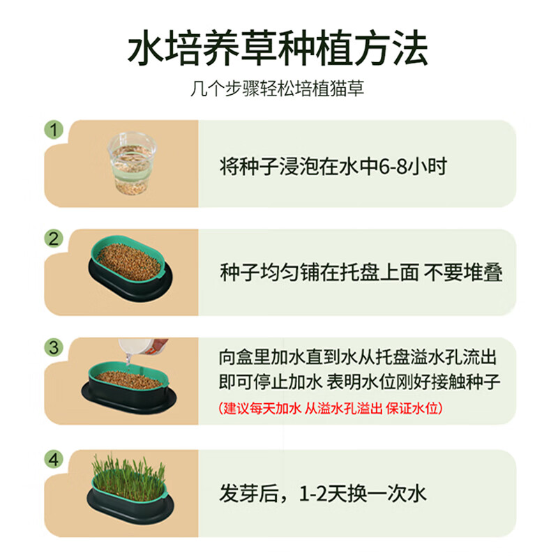 Crazy owner cat grass + 6 bags of wheat seed potted soilless hydroponic mint hair removal balls to help eliminate hair cat snacks for young cats