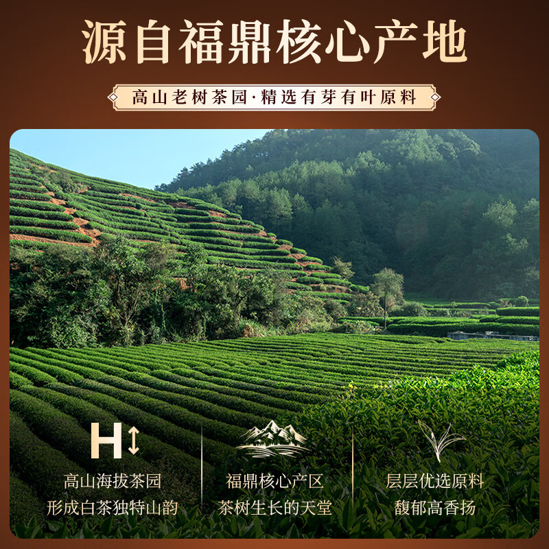 Qichun White Tea Longzhu 19-year-old white tea Fuding Gongmei Longzhu tea cold brew tea for self-drinking portable pack 30g