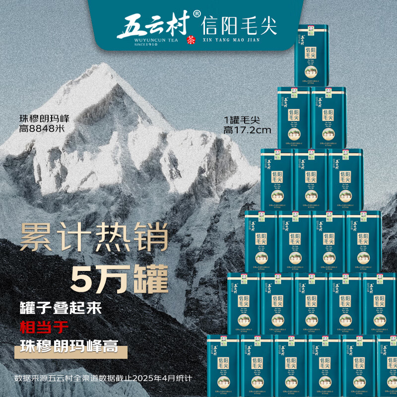 Wuyun Village 2025 new tea Xinyang Maojian 500g green tea before the rain special sprouts 2 cans total 1 jin for self-drinking with gift bag box