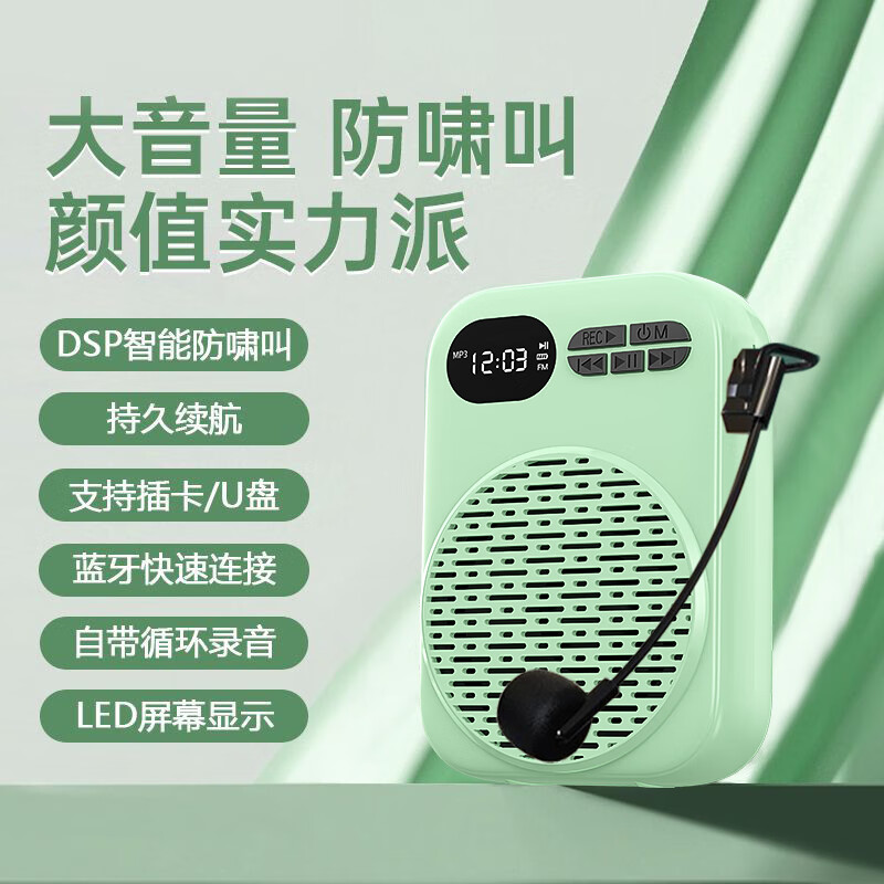 EARISE 606 new portable high-volume little bee amplifier anti-whistle teacher microphone with long battery life green