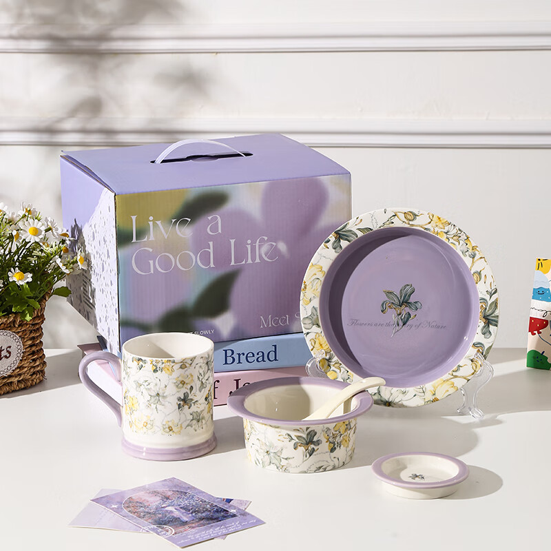 Xiderun underglaze colored iris flower bowl and plate set for home move-in, new home bowl and plate, wedding gift tableware, chopsticks and bowls gift box, 6-piece set for one person - iris flower