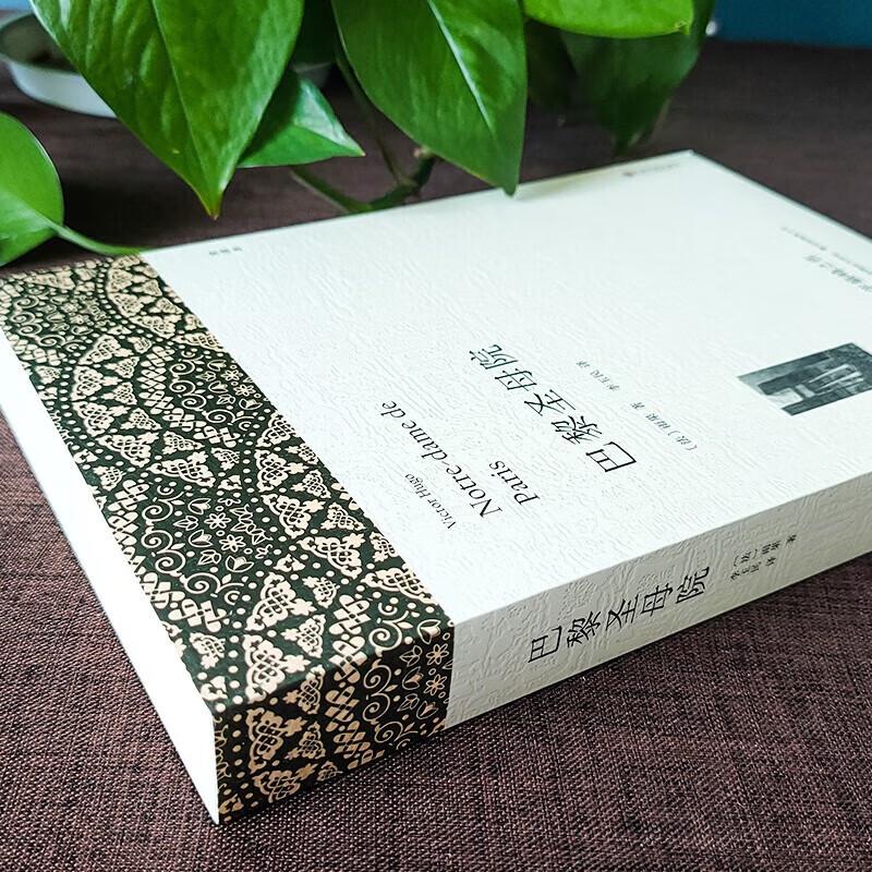 3 volumes in total, Notre Dame de Paris + Les Misérables, volumes 1 and 2, written by Hugo, genuine unabridged full translation with annotated illustrations, must-read extracurricular reading for primary and secondary school students, classic world masterpieces