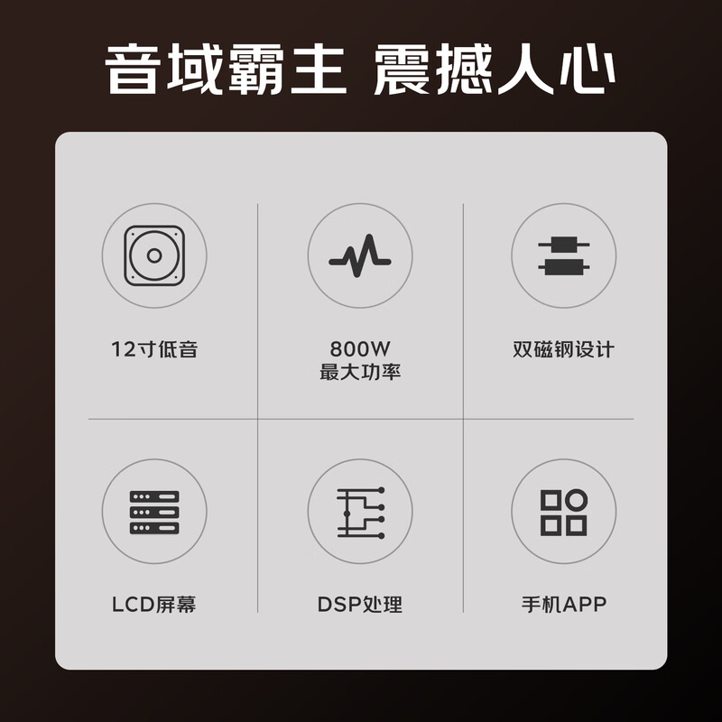 Tianyi (Winner) SUB-4000 active subwoofer high power 12-inch bass speaker audio home theater stage professional subwoofer SUB-4000