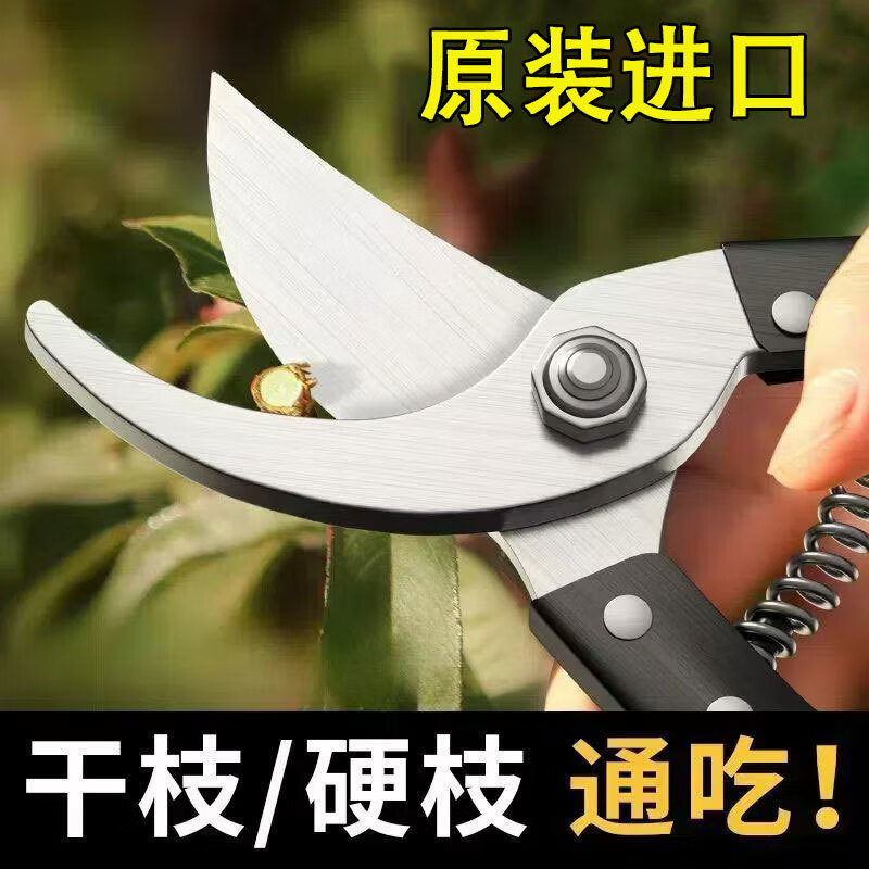 FANCYCHIC German craftsmanship imported steel branch shears tree shears fruit tree shears pruning scissors household flowers and grapes pruning branches German imported steel blades nationwide fast delivery super labor-saving original German thick branch shears sk+5