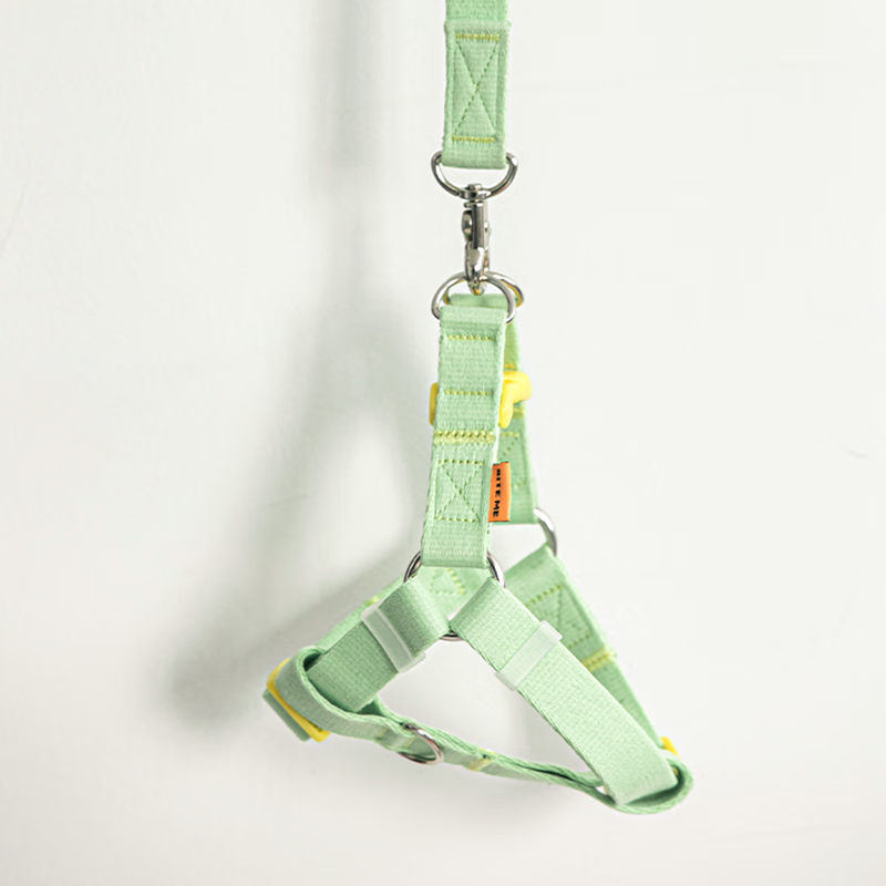 BITE ME candy crayon strap (6 colors) - S/M0