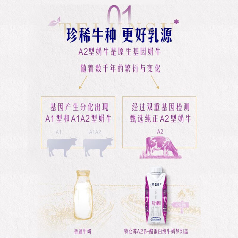 Mengniu Deluxe A2-casein pure milk 250ml*24 boxes 3.8g milk protein New Year gift box