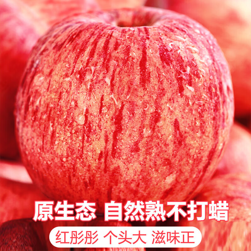 Jingdida Yantai Apple Fruit Red Fuji Apple Net Weight 5 Jin Single Fruit 80mm + New Year's Fruit Direct Shipping from the Source