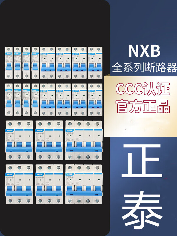 Nxb-63 Chint 1P2P3P4P household small circuit breaker 100a32a air switch switch 63a air switch 1A 2P