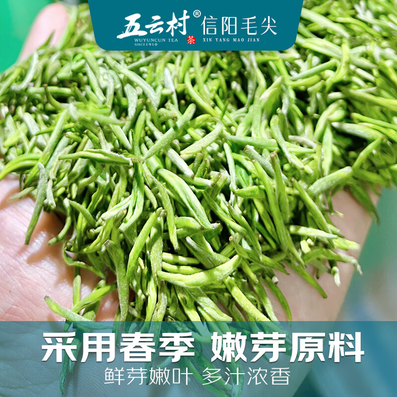 Wuyun Village 2025 new tea Xinyang Maojian 500g green tea before the rain special sprouts 2 cans total 1 jin for self-drinking with gift bag box