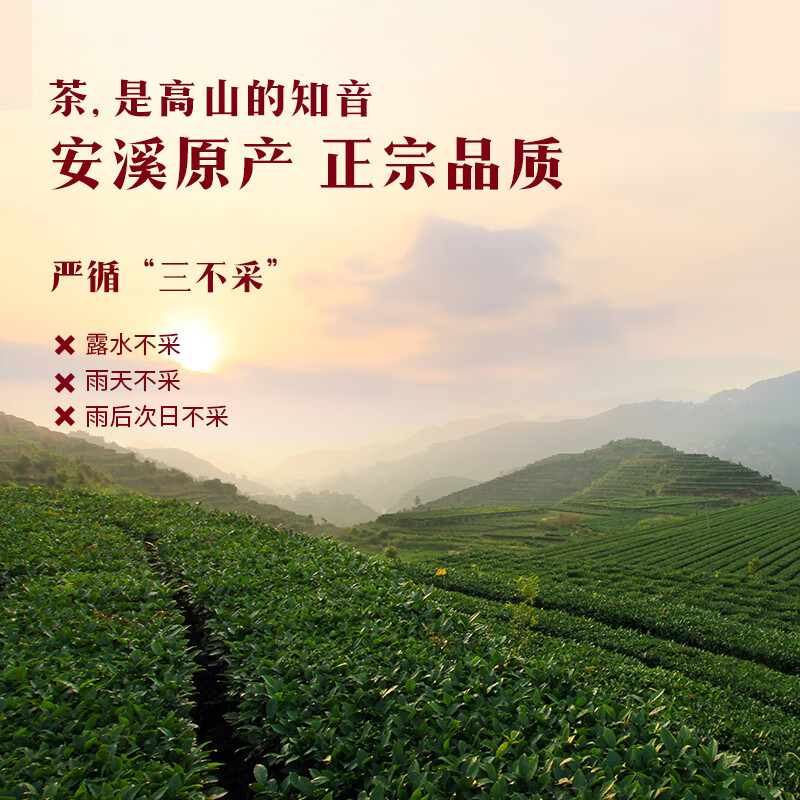 Bama Tea Industry Oolong Tea Zhiyin Anxi Tieguanyin Fresh Fragrance Special Grade 256g Gift Box Tea for Gifts