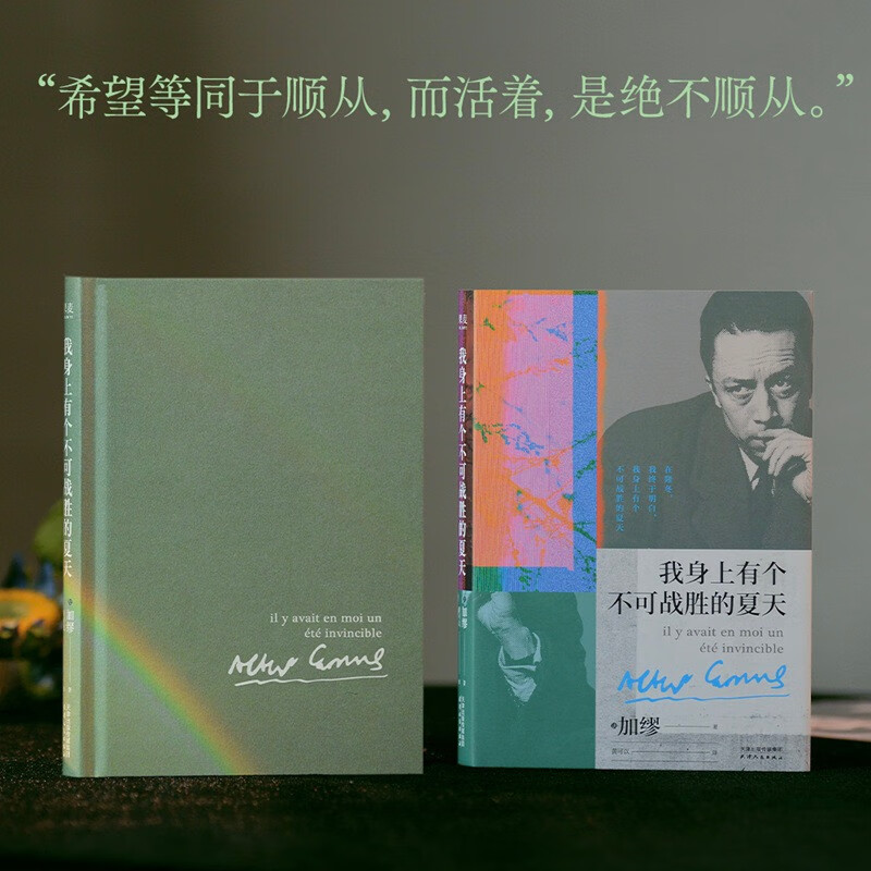 There is an invincible summer in me (Selected Essays by Camus, In the middle of winter, I finally understood that there is an invincible summer in me) Novel