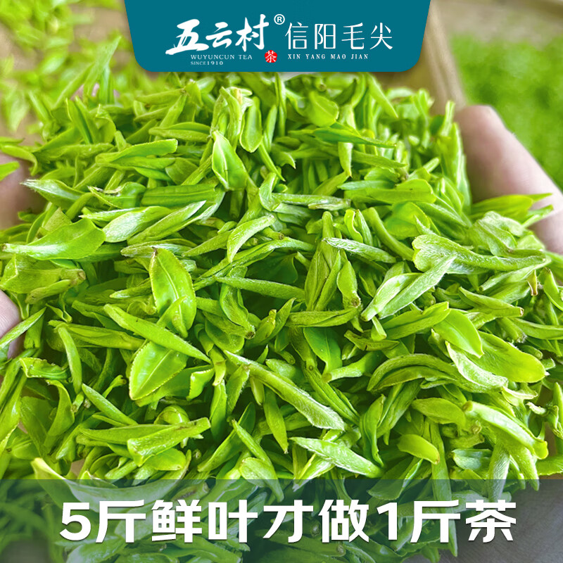 Wuyun Village 2025 new tea Xinyang Maojian 500g green tea before the rain special sprouts 2 cans total 1 jin for self-drinking with gift bag box