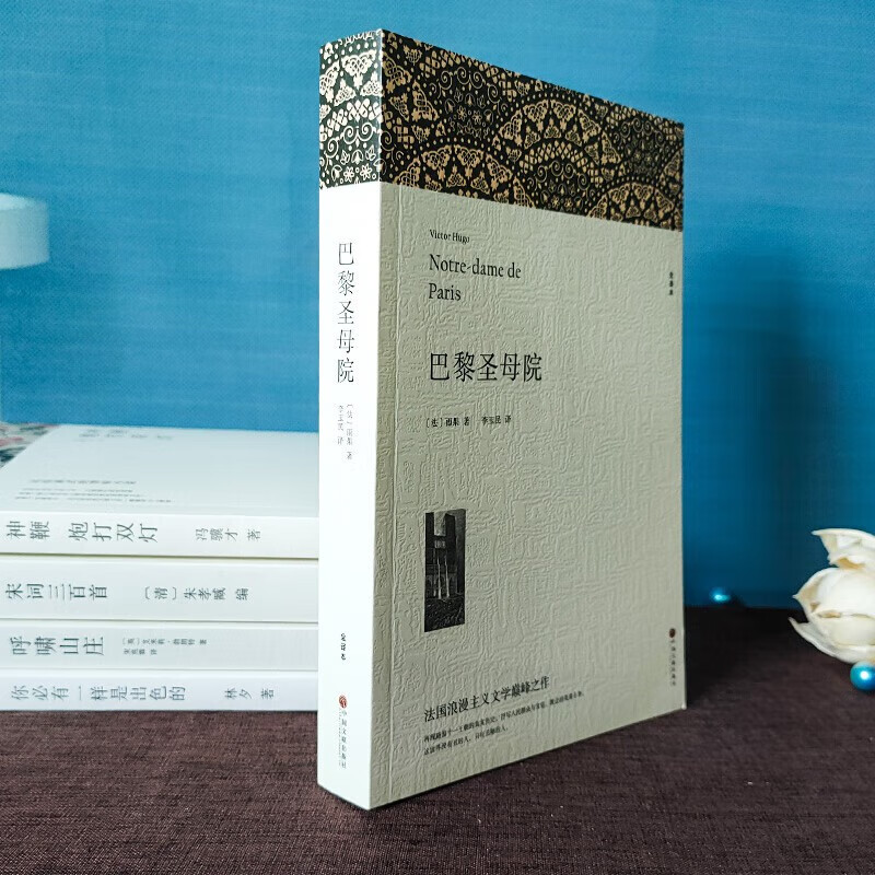 3 volumes in total, Notre Dame de Paris + Les Misérables, volumes 1 and 2, written by Hugo, genuine unabridged full translation with annotated illustrations, must-read extracurricular reading for primary and secondary school students, classic world masterpieces