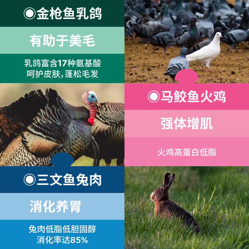 LEGENDSANDY Canned Cat Snacks High Meat High Nutrition Full Price Staple Food Meal Pack Cat Rice Mixed Flavor 50g*6 Pack