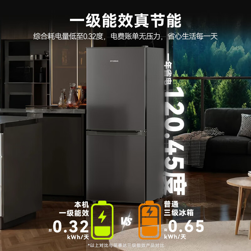 Royalstar 166 liter small refrigerator small home rental room office dormitory double door two door double door two door refrigerator energy saving power saving bass titanium dark gray R166