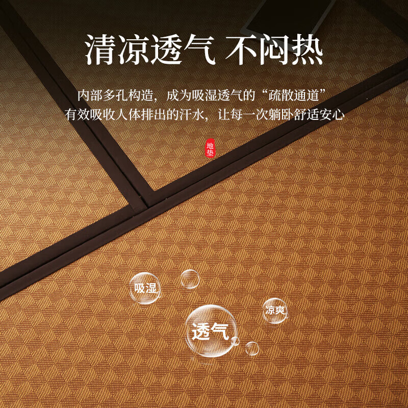 Visibility Customized Tatami Mat Japanese Coconut Palm Mattress Customized Size Home Bedroom Tatami Floor Mat Kang Mat Mat (Electric Heating) 6cm Thickness (Pure Jute Core)/Each