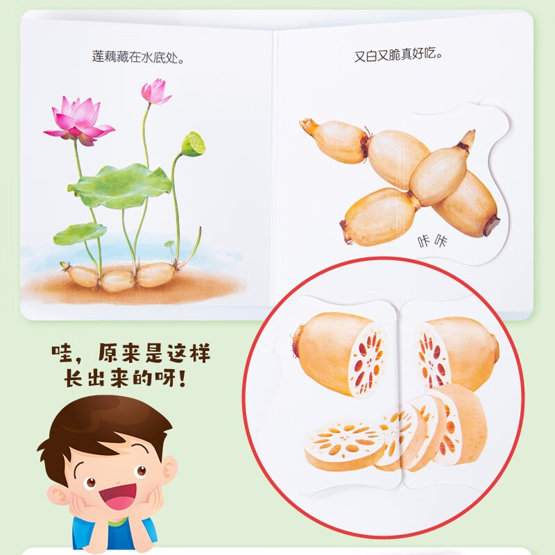 Toddler Food Education Flip Book Delicious Fruit Complete Set of 5 Early Education Complementary Food Books 2-6 Years Old Children's Enlightenment Picture Book Tear-Free Puzzle Book Baby Touch 3D Three-dimensional Organ Book