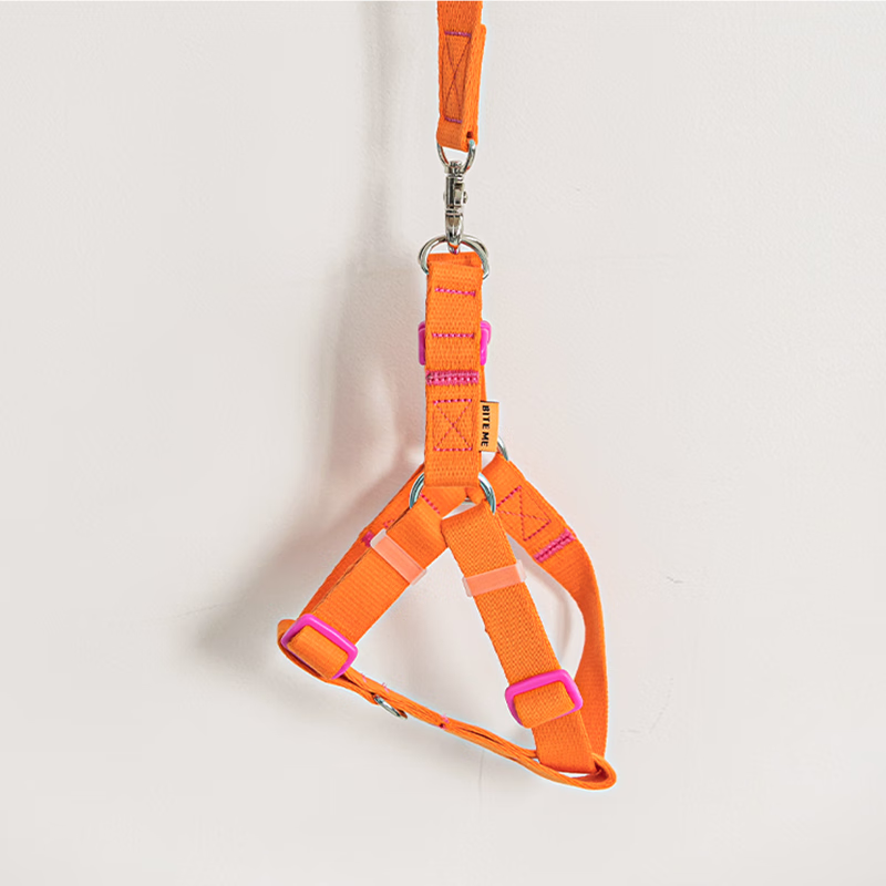 BITE ME candy crayon strap (6 colors) - S/M0