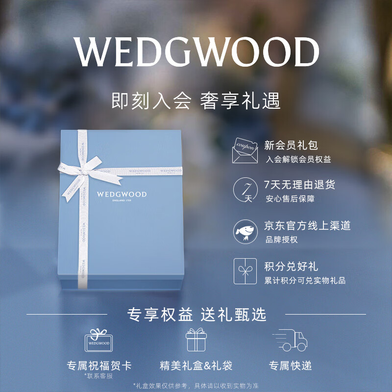 Wedgwood Eternal Light Cup and Saucer Set Bone China Coffee Cup and Saucer Light Luxury Afternoon Tea Cup and Saucer Home Eternal Light Cup and Saucer Set