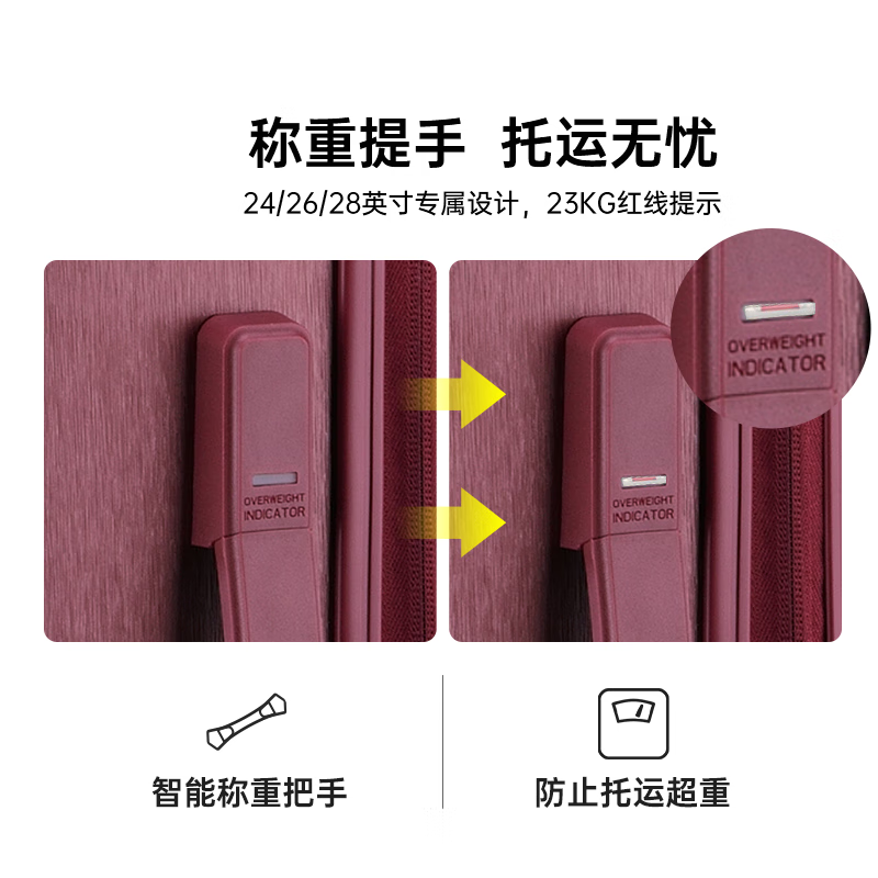 DELSEY Trolley Case French Ambassador 20-Inch Suitcase Carry-on Case Suitcase Code Lock Silent Wheel