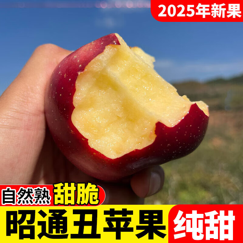 2025 Authentic Yunnan Zhaotong Rock Candy Apple Fresh Fruit Apple Seasonal Crisp Sweet Fruit Origin Straight Hair 5 Jin Packed Large Fruit (80-90mm)
