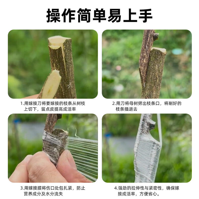Ai Ruidun grafting special PE thickened film straps without knotting, agricultural fruit tree wrapping film, self-adhesive wrapping film, 200 meters long, 3 cm wide (pack of 5)