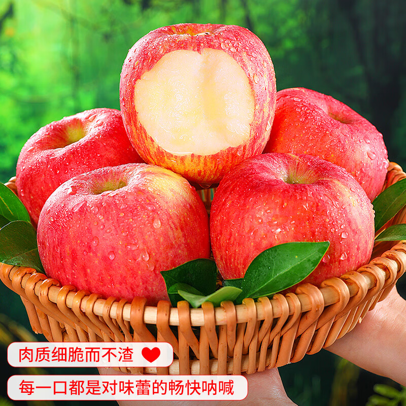 Quan Shenglong Shaanxi Baishui Red Fuji Apple 2025 New Fruit Seasonal Fruit Crisp and Sweet Optional Festival Gift Box Red Fuji 4.5 catties 75-80mm