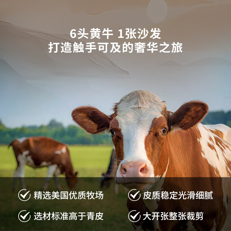 Left and right adjustable sitting depth sofa sailing sofa mobile backrest leather sofa home sofa 6068 large three white