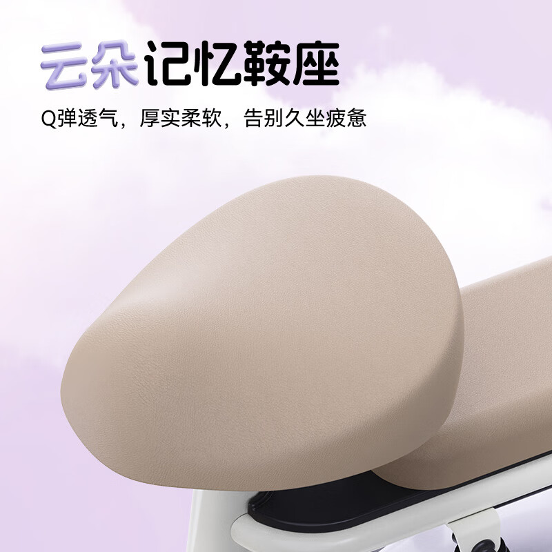 Luyuan Beijing Exclusive Carel 11 New and New National Standard Electric Bicycle Smart and Cost-Effective Electric Vehicle Adult Commuting Small and Licensed Electric Bicycle Go to the store to choose the color