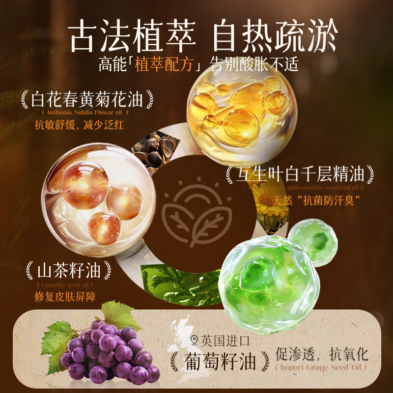 Pozitinlan, ginger, mugwort, massage essential oil, meridians, whole body detoxification, heating, cupping spa, open back massage, scraping 500ml