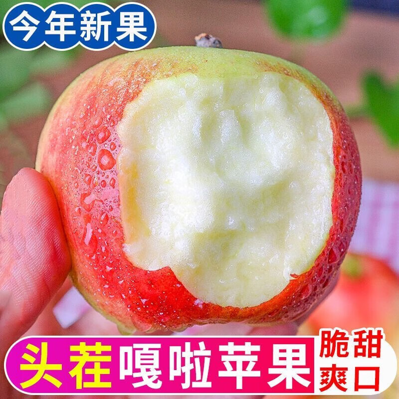 Northeastern Gala Apple 5kg 3kg Freshly Picked Crispy Sweet Small Apple Seasonal Fruit for Pregnant Women Weight 5kg