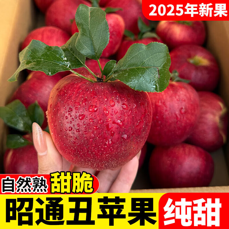 2025 Authentic Yunnan Zhaotong Rock Candy Apple Fresh Fruit Apple Seasonal Crisp Sweet Fruit Origin Straight Hair 5 Jin Packed Large Fruit (80-90mm)