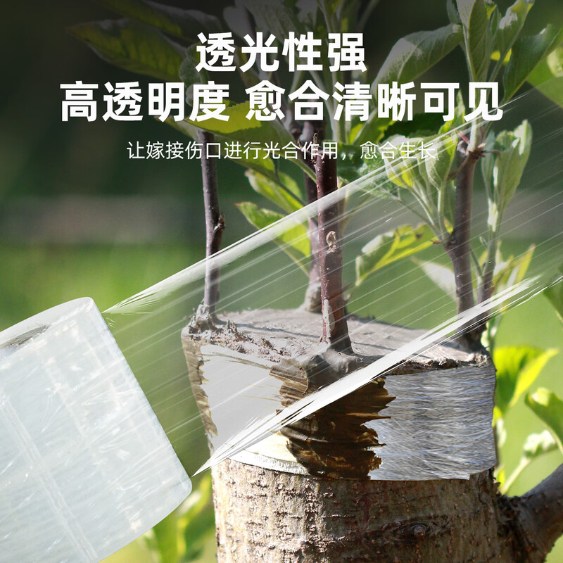Ai Ruidun grafting special PE thickened film straps without knotting, agricultural fruit tree wrapping film, self-adhesive wrapping film, 200 meters long, 3 cm wide (pack of 5)