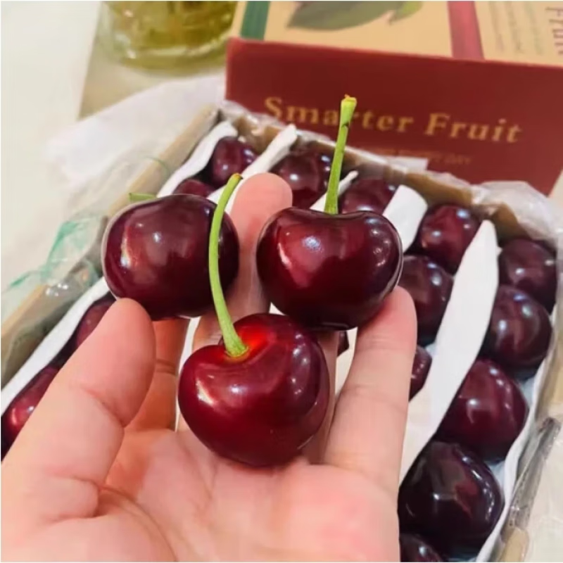 Sanmeng fruits and vegetables Chilean cherries JD SF - next-day delivery to many places Big cherry imported fruit gift box for New Year's gift 5 pounds (net weight) The most cost-effective - Cherry freedom Enjoy the gift box Black diamond level | Crisp and sweet 4J Super Fruit King 32-34mm