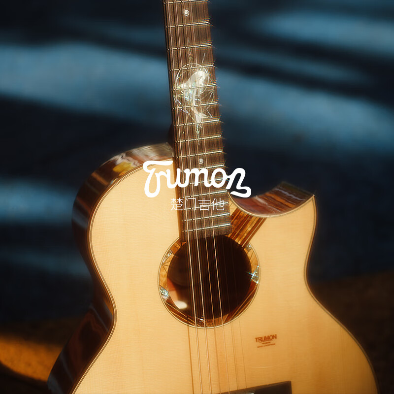 Truman Truman Guitar 150 280 Dolphin Story comprehensive single-board folk guitar for beginners and advanced 41-inch acoustic guitar Dolphin Story 1955TFL pointed corner