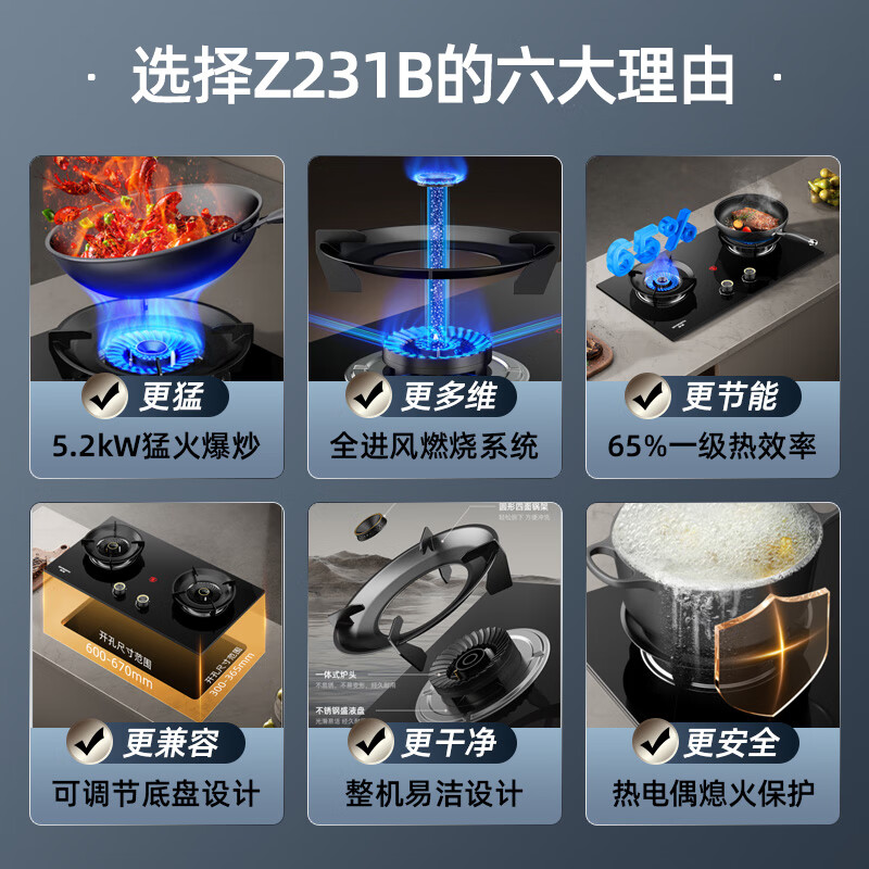 Skyworth gas stove gas stove double stove household 65% thermal efficiency natural gas double stove 5.2kW high power desktop embedded fierce fire stove JZT-Z231B