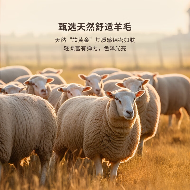 K-Boxing Men's Wear (K-Boxing) 100% wool new men's business casual short woolen jacket autumn and winter NFWN3325 black L