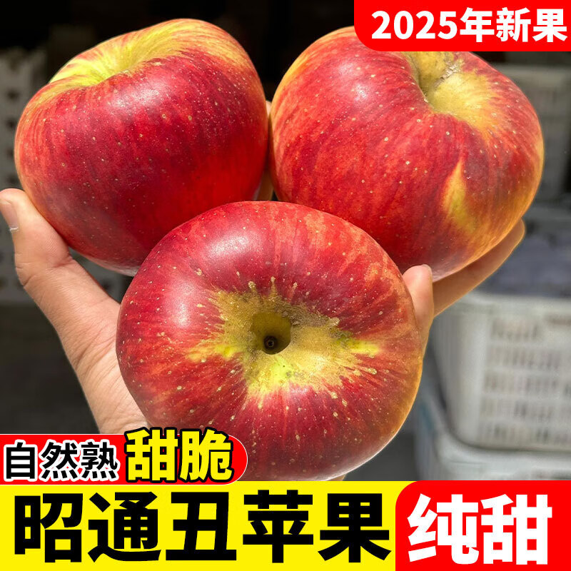2025 Authentic Yunnan Zhaotong Rock Candy Apple Fresh Fruit Apple Seasonal Crisp Sweet Fruit Origin Straight Hair 5 Jin Packed Large Fruit (80-90mm)