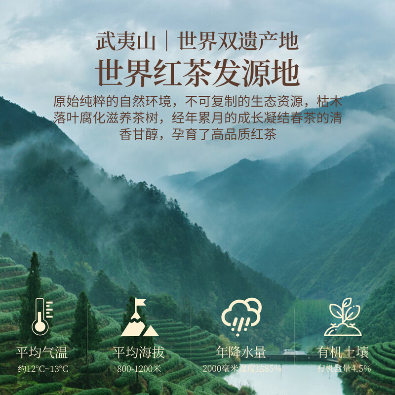 Wuyi Pu Black Tea Special Grade Jin Junmei 250g Tea Gift Box New Year's Gift Gift 2025 New Tea High-end Elder Leaders