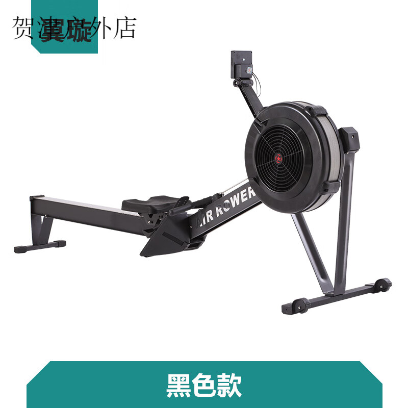 Yixuan Wind Resistance Rowing Machine Silent C2 Indoor Rowing Household Intelligent Wind Resistance Rowing Machine Commercial Gym Equipment Black Model