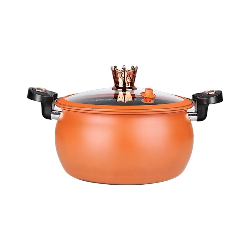 Ye Yu Maifan stone micro-pressure cooker household binaural stew steamer non-stick soup pot accessories gas nozzle pot lid 22cm red sealing ring