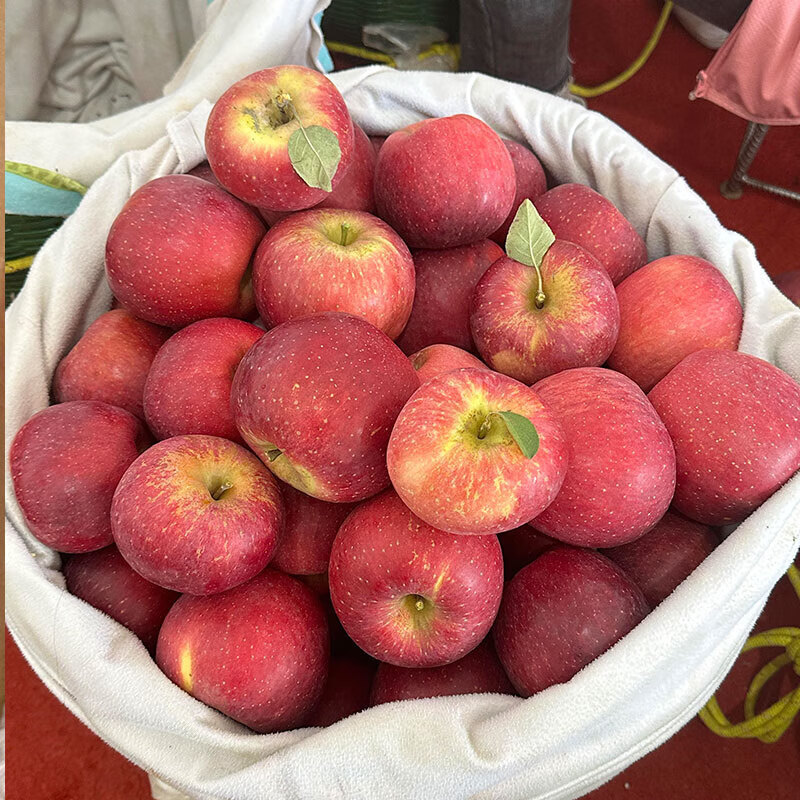 Authentic Yunnan Zhaotong Rock Candy Heart-Ugly Apple Fresh Fruit Zhaotong Apple Seasonal Crisp Sweet Fruit Origin Straight Hair 5 Jin 80-85mm Large Fruit l High Cost Performance