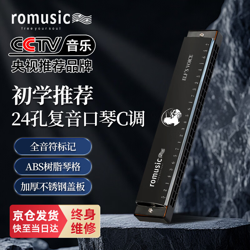 Romusic harmonica 24-hole polyphonic harmonica in C key for beginners (black) student teaching recommendation