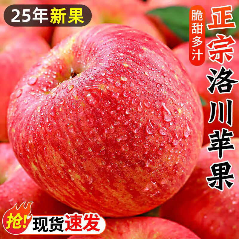 Jingmi Luochuan Red Fuji Apple 18 pieces 165g + Shaanxi Fresh Fruit Fresh New Year Festival Straight from the source