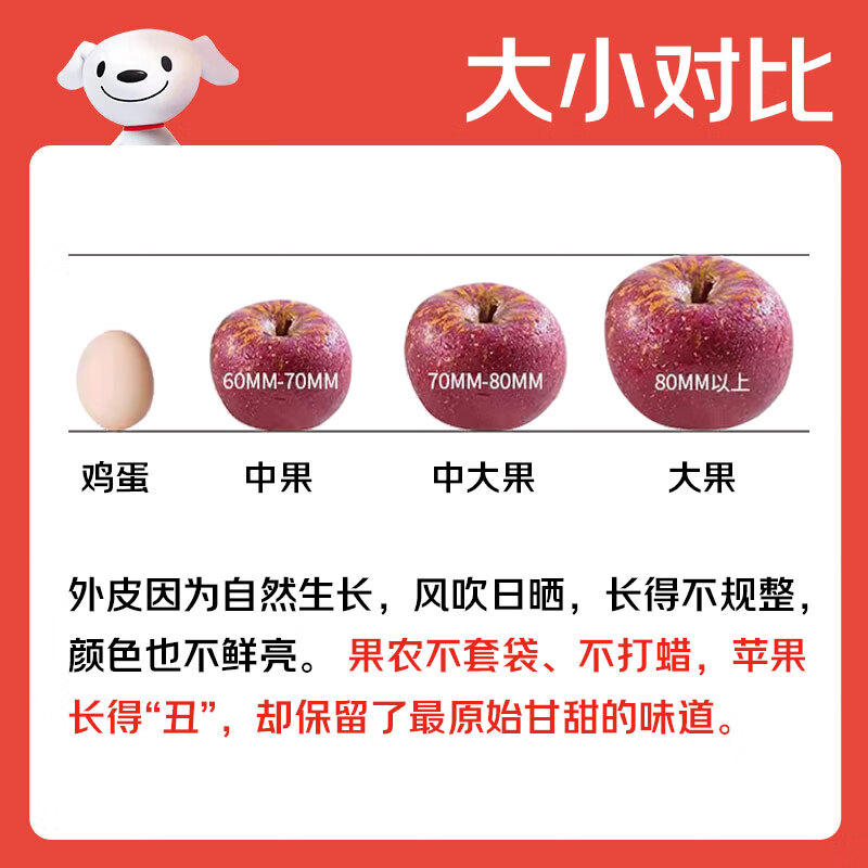 Jingxiansheng Yunnan Zhaotong Rock Candy Chou Apple, net weight 4.5kg, single fruit 70mm+, free shipping directly from the source