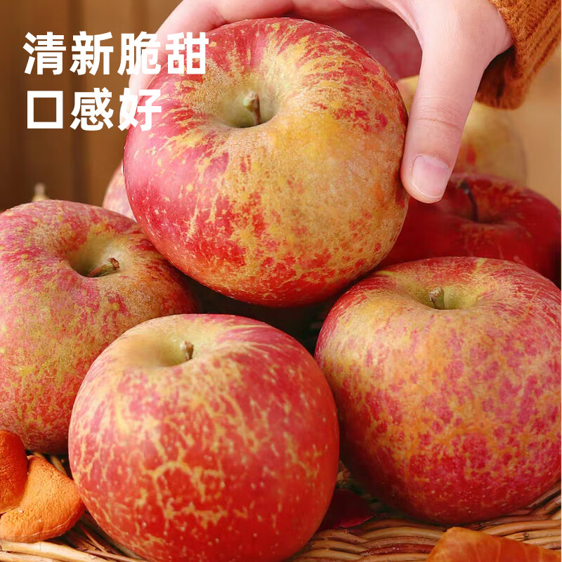 Jingmi Yunnan Zhaotong ugly apple, net weight 4.5 catties, single fruit 75mm+, Fuji apple rock candy heart straight from the source