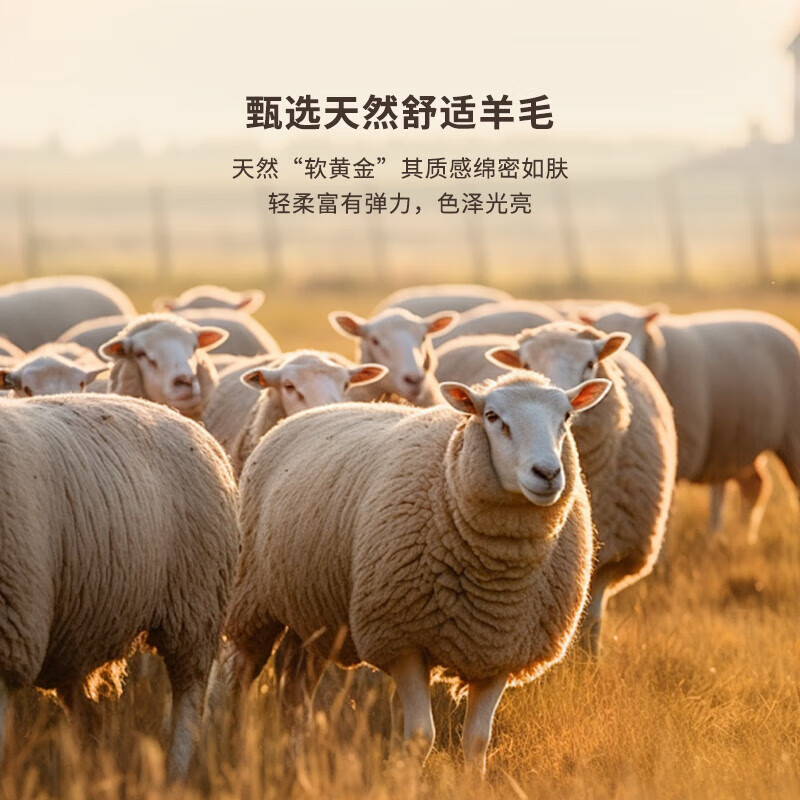 K-Boxing Men's Sheep Wool Autumn and Winter Fashion Short Woolen Coat NFWN3323 Walnut Color L