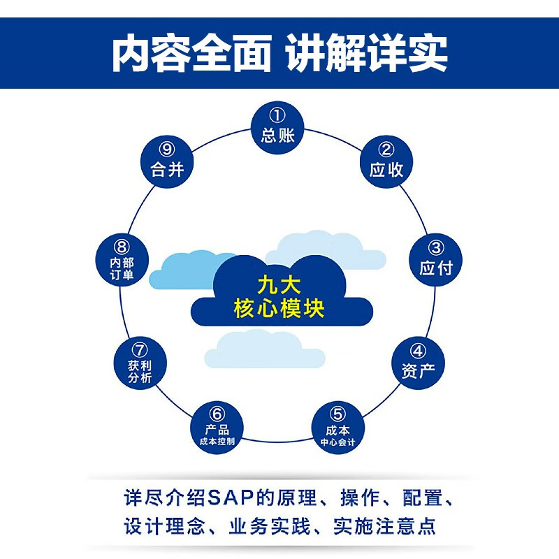Learn SAP Finance from Easy to Deep (S/4HANA version) SAP Financial Tutorial Financial Analysis ERP System Financial Consultant Accounting Produced by Asynchronous Books