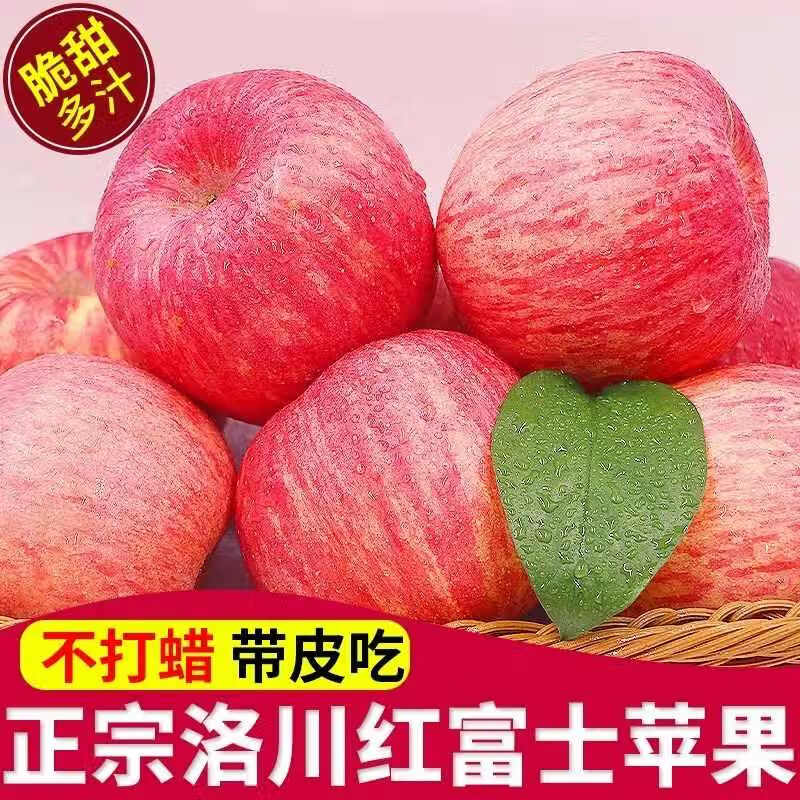Jingmi Luochuan Red Fuji Apple 18 pieces 165g + Shaanxi Fresh Fruit Fresh New Year Festival Straight from the source